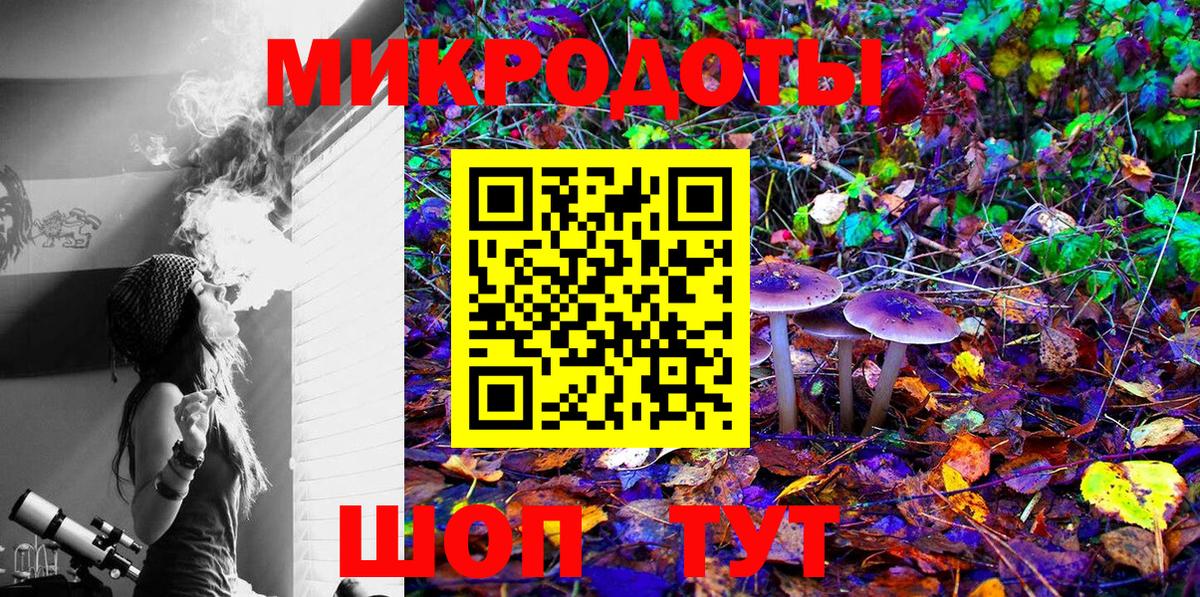 Алейск  Галлюциногенные грибы Psilocybine cubensis  Вход с VPN 